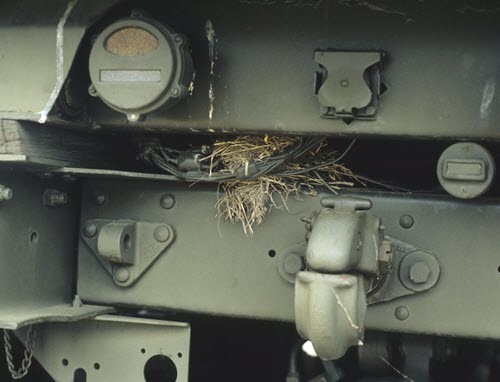 Nid d'oiseau dans un véhicule militaire.