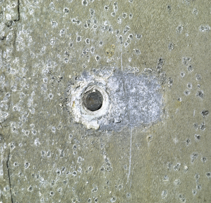The corrosion products form the white ring around the head of the dark-coloured bolt