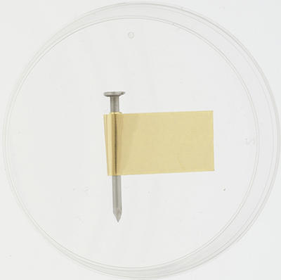 Clou de fer enveloppé d'une feuille de laiton, placé dans une boîte de Petri