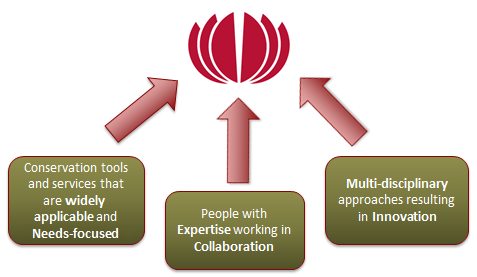 Organizational Chart displaying CCI's core values. Description follows.