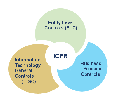Categories of internal control over financial reporting controls.