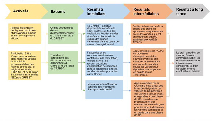 Modèle logique Activités, extrants, résultat immédiat, résultats intermédiaires et résultat à long terme.