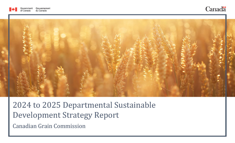 report cover