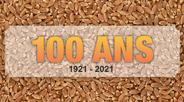 Plus de 100 ans de Statistiques hebdomadaires des grains