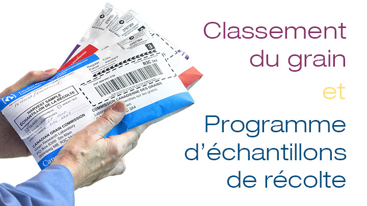 Les échantillons que nous recevons dans le cadre du Programme d'échantillons de récolte nous permettent de nous assurer que le système canadien de classement des grains convient à tout le monde, des producteurs aux transformateurs.