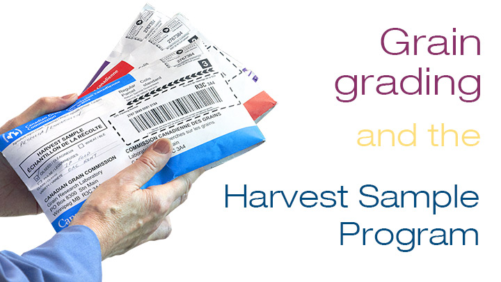 The Harvest Sample Program helps us make sure the Canadian grain grading system is working for everyone, so producers will be paid fairly for the real quality of their crop.
