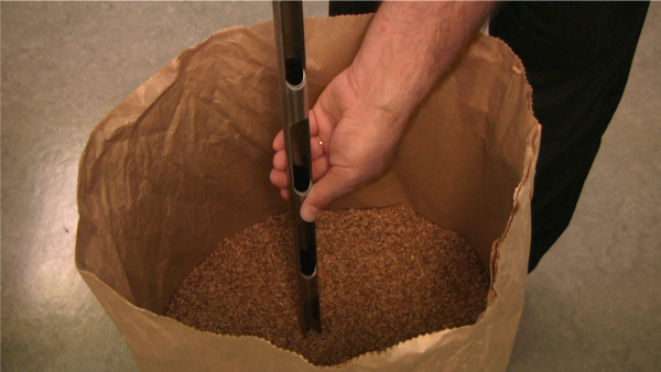 Grain inspector demonstrates how to take a sample horizontally from a bag of grain.