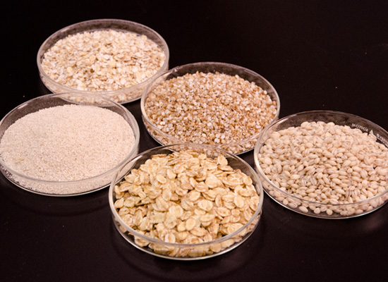 A display of various products prepared from food barley at the GRL