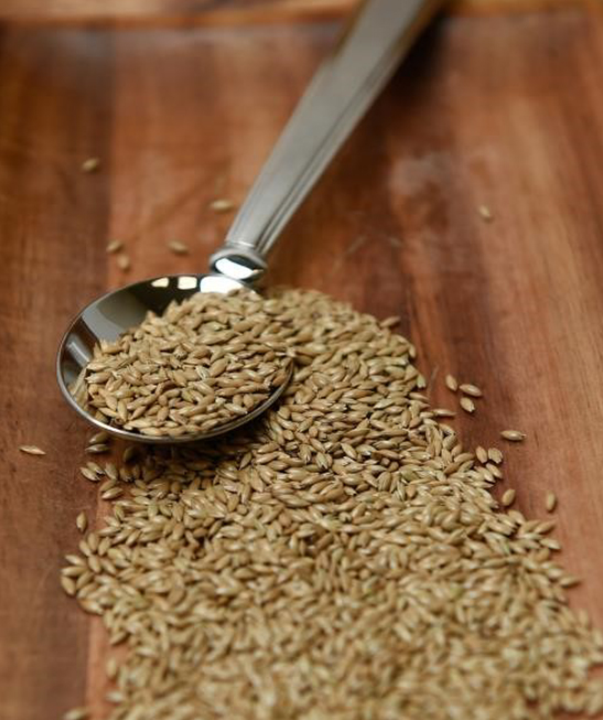 Mature canary seed plant