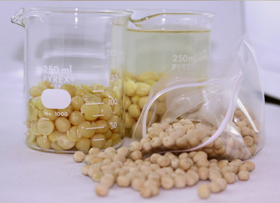 Yellow peas (cooked, dried, and soaking in water)
