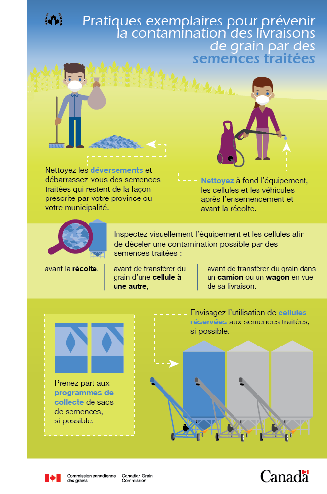 Éviter la présence de semences traitées dans les livraisons de grain. Version texte ci-dessous