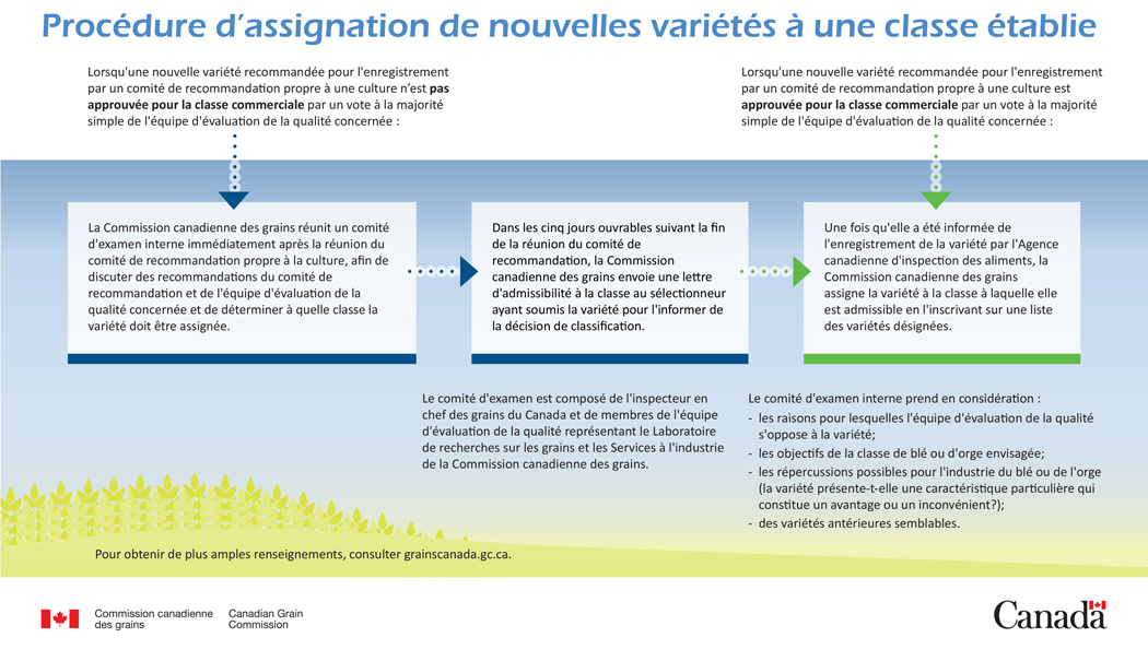 Organigramme de la procédure de désignation variétale