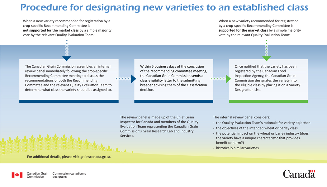 Variety designation procedure flowchart