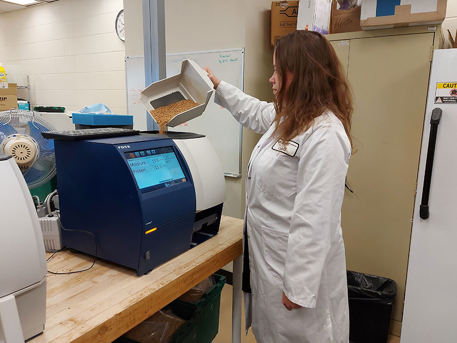 Lab technician pouring wheat samples into NIT equipment.