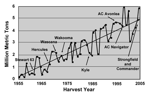 Rise of durum wheat production in Canada, 1955 to 2005 aligned with the registration of durum varieties.