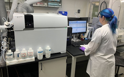 Samples of wheat being analyzed for cadmium