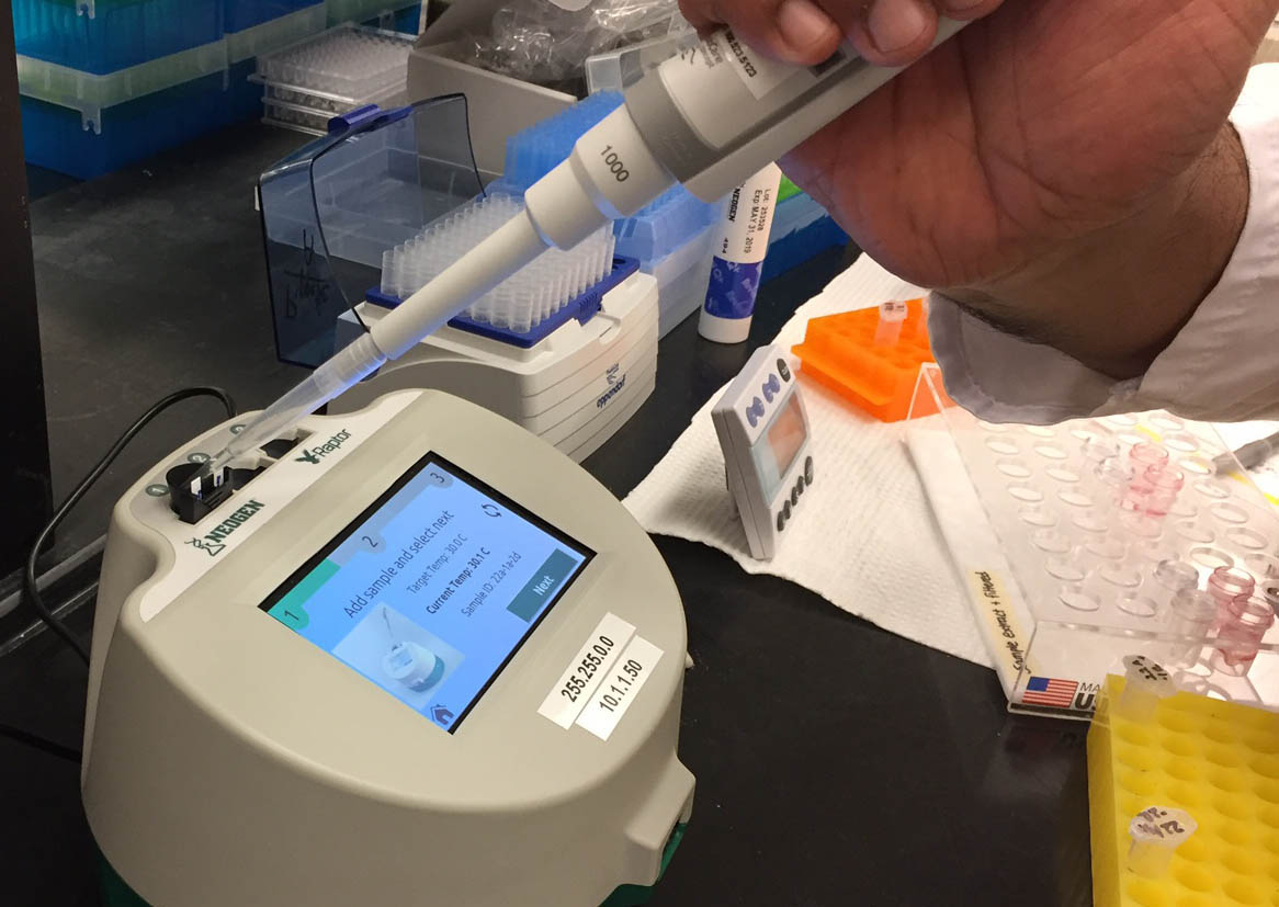 Increasing precision in deoxynivalenol (DON) testing