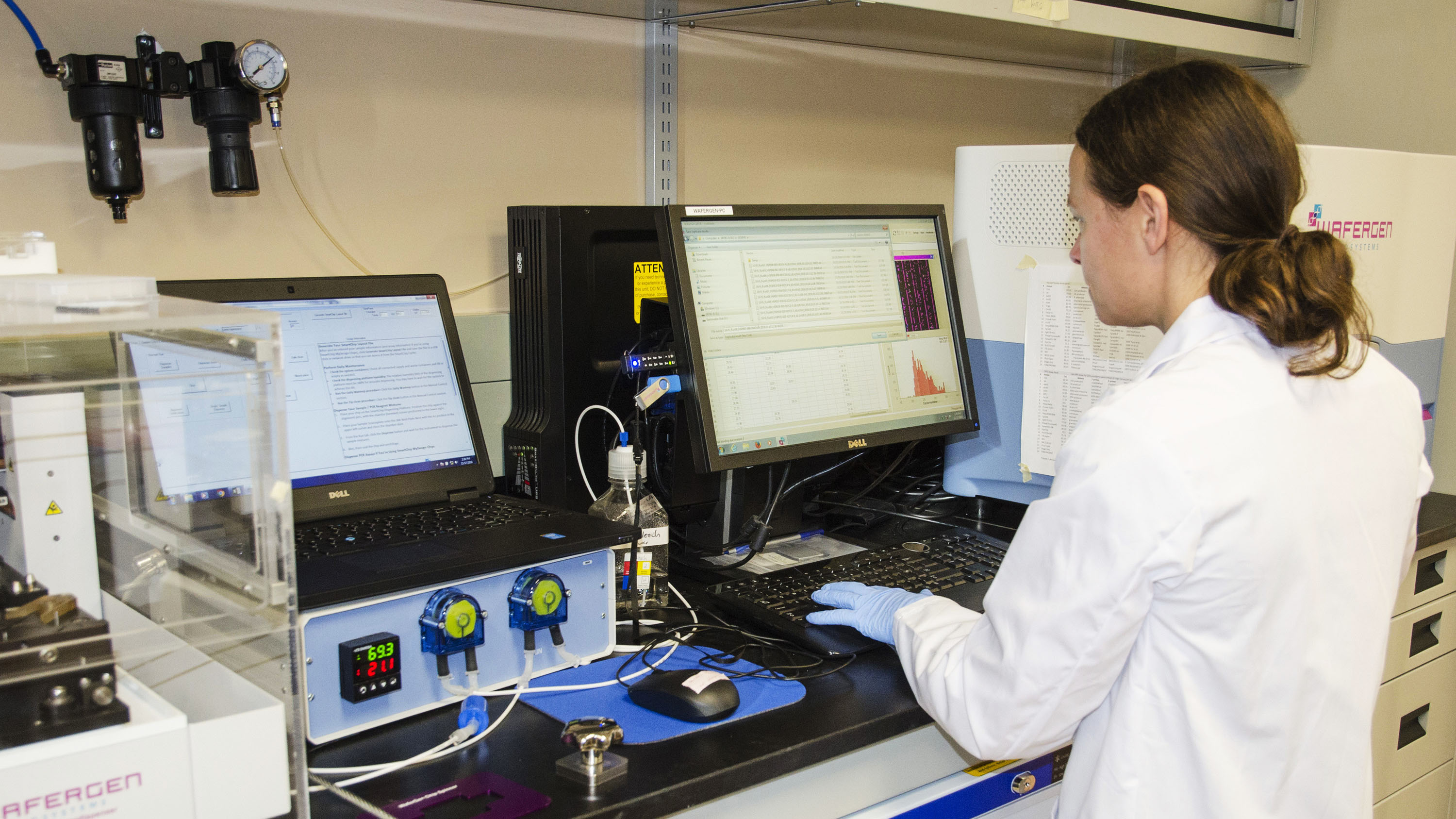 Locating the source of fusarium resistance in durum wheat