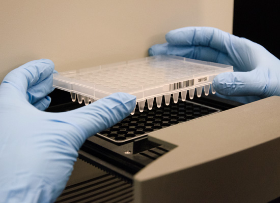 Placing DNA samples on real-time polymerase chain reaction (PCR) instrument.