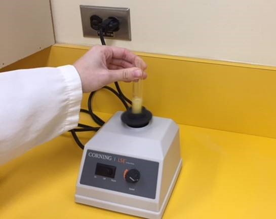 Pulse sample and canola oil being mixed together in a vortex mixer.