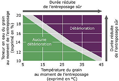 Graphique montrant les instances où la détérioration se produit dans les haricots