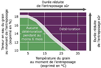 Graphique montrant les instances où la détérioration se produit dans le blé