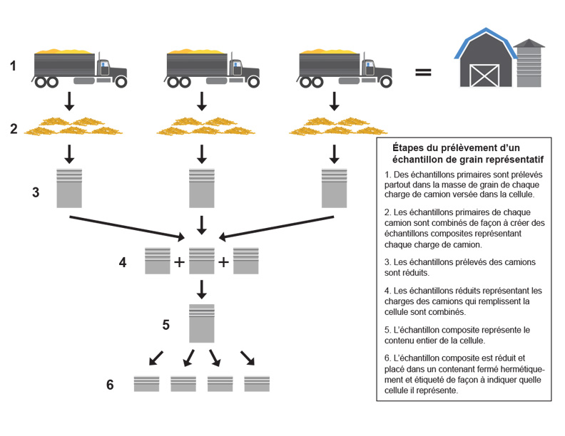 Representative grain sampling steps