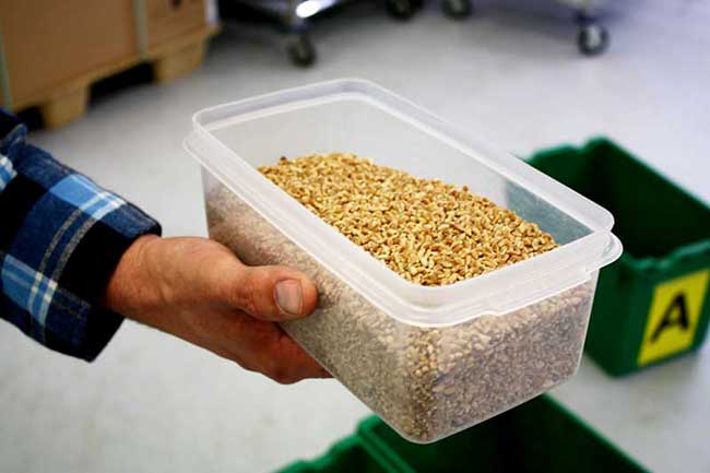 place the final sample into the remaining pail labelled A