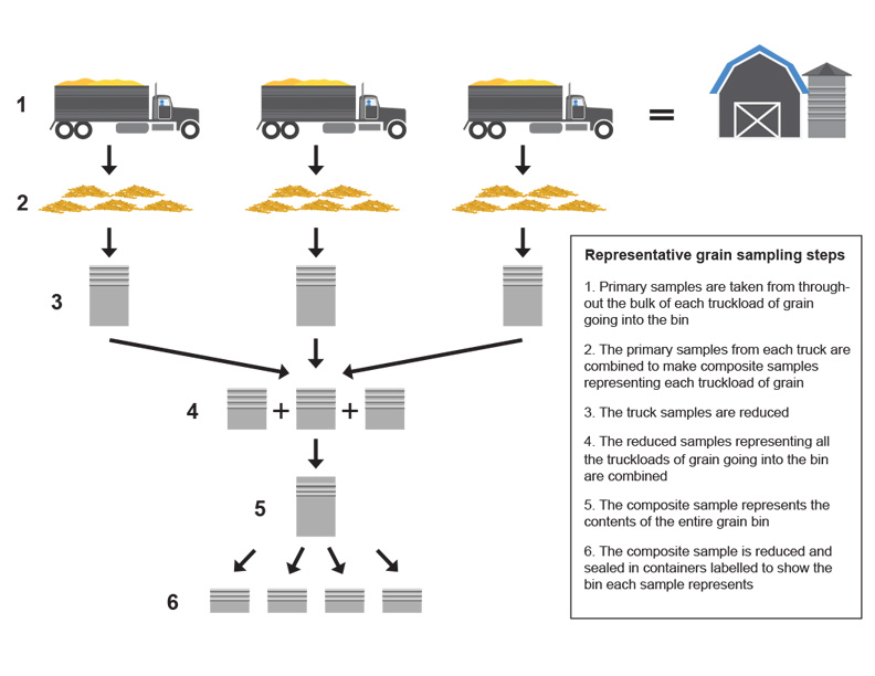 Representative grain sampling steps