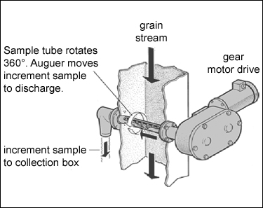 fig10c