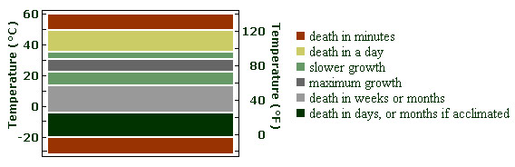 Chart shows time and temperature effects on insect growth activity or death - details below