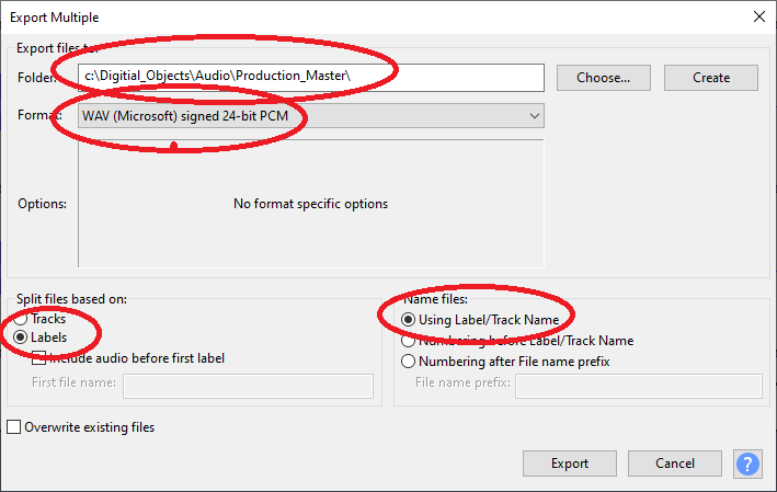 Screenshot of export dialogue box in Audacity in which the important settings are circled