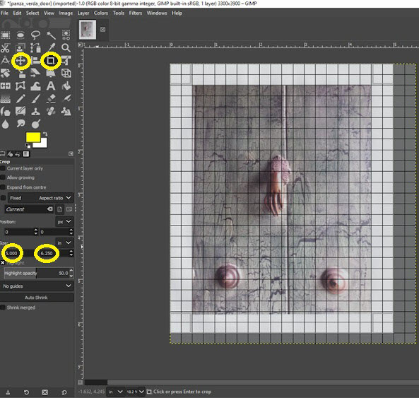 Screenshot of a photo loaded in GIMP. A crop is in progress with a rectangular line about the image showing the crop area.
