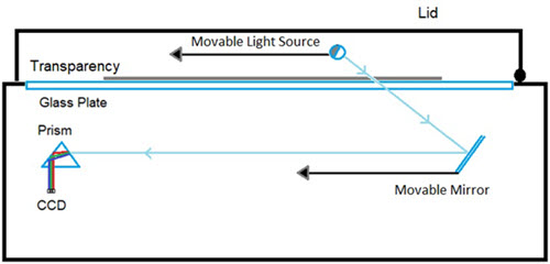 Diagram of a backlit flatbed scanner for scanning transparencies. The scanner lid contains a movable light source.