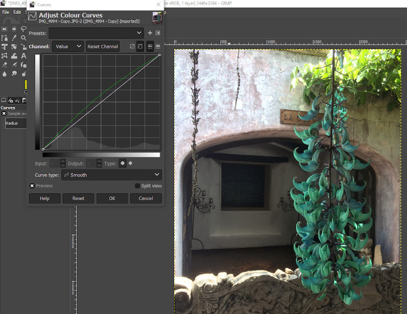 Applying the “Enhance Green” colour curve preset to an image in GIMP. After the preset has been applied, colours appear more natural.