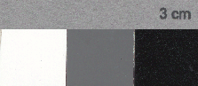 Échelle maison de couleur grise de 3 cm