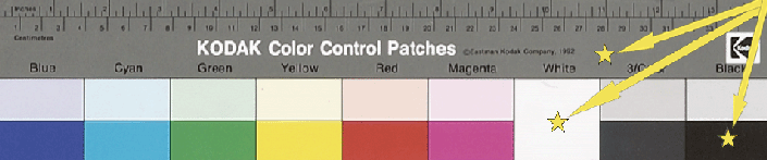 Colour image of Kodak Q-14 colour scale control patch, pointing out white, black, and grey areas.