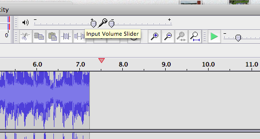 Image: Volume settings in Audacity, (Input Volume Slider)