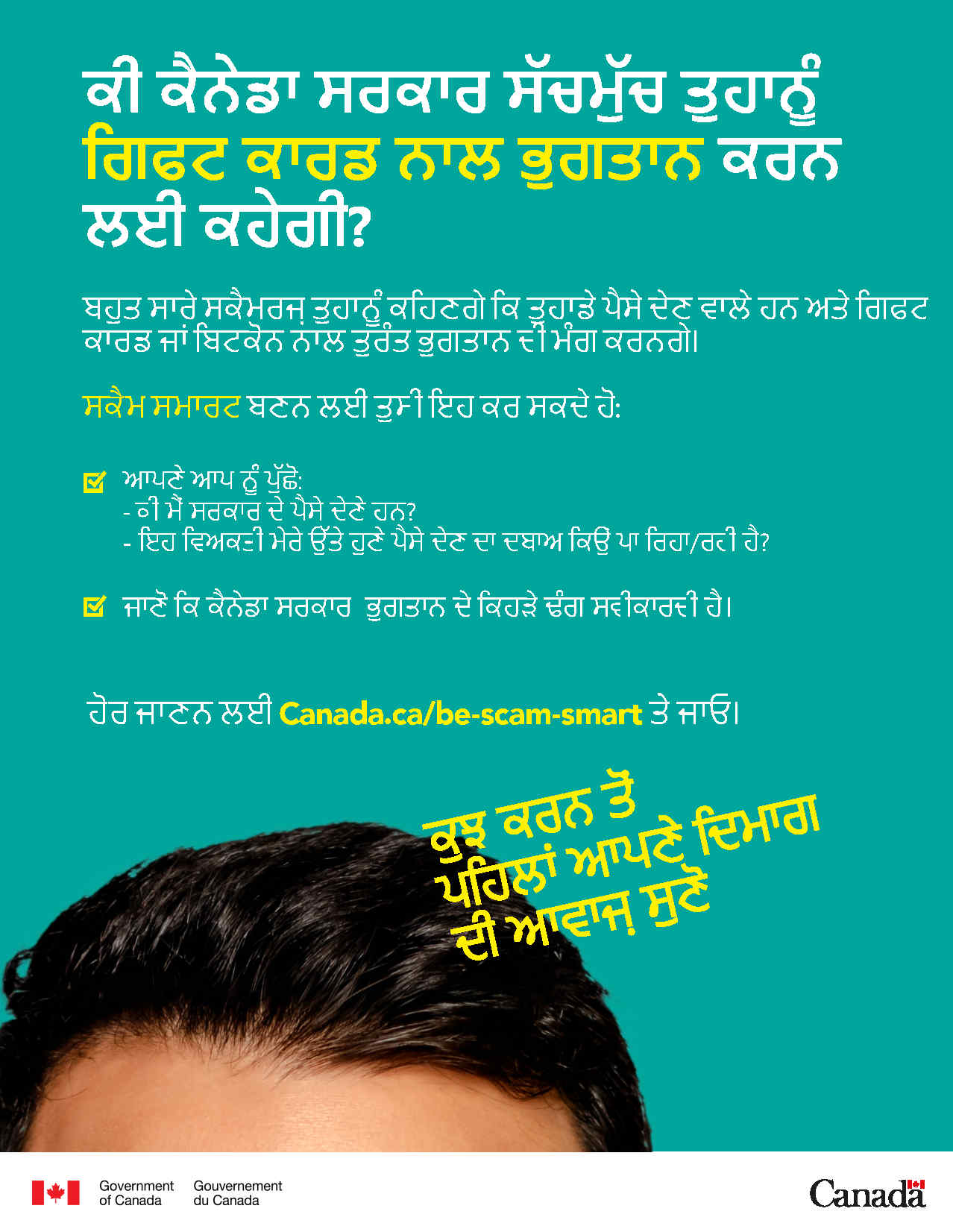 This Punjabi PDF poster provides sample recommendations from the current content for display purposes only