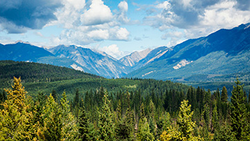 image overlooking a forest with a blue sky with mountains in the background