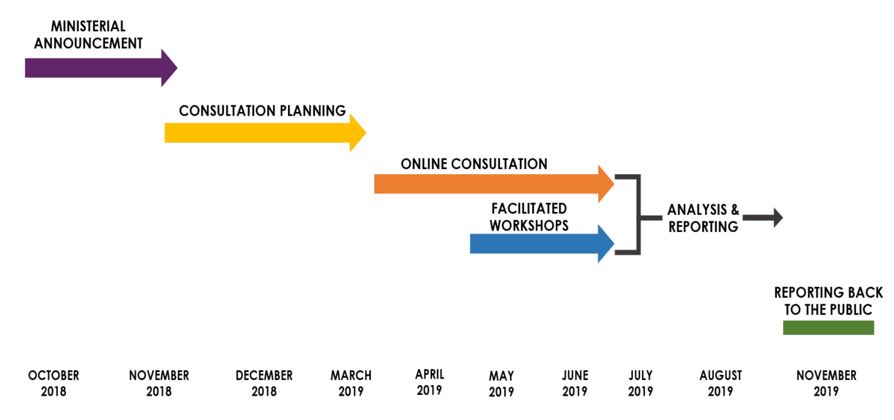 Consultation process details – chart