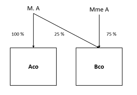 Exemple  - Deux sociétés lorsqu’une est contrôlée par un individu, l’autre est contrôlée par une personne liée à cet individu, et l’une de ces personnes est propriétaire d’au moins 25 % des actions émises de chaque société 