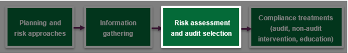 Risk assessment and audit selection