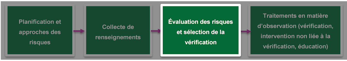Évaluation des risques et la sélection de la vérification