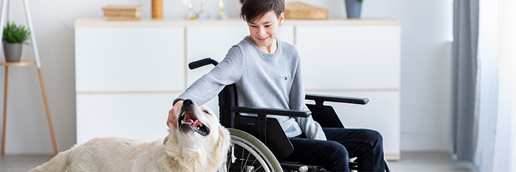 Boy in a wheelchair, petting a dog