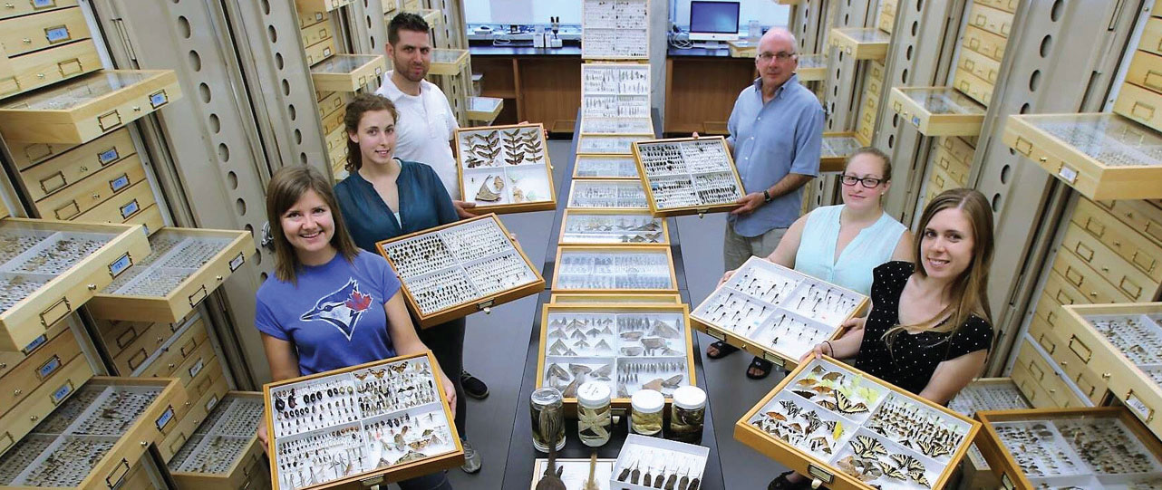 Photo of six New Frontiers in Research Fund 2020 Transformation BIOSCAN research team members displaying species samples.