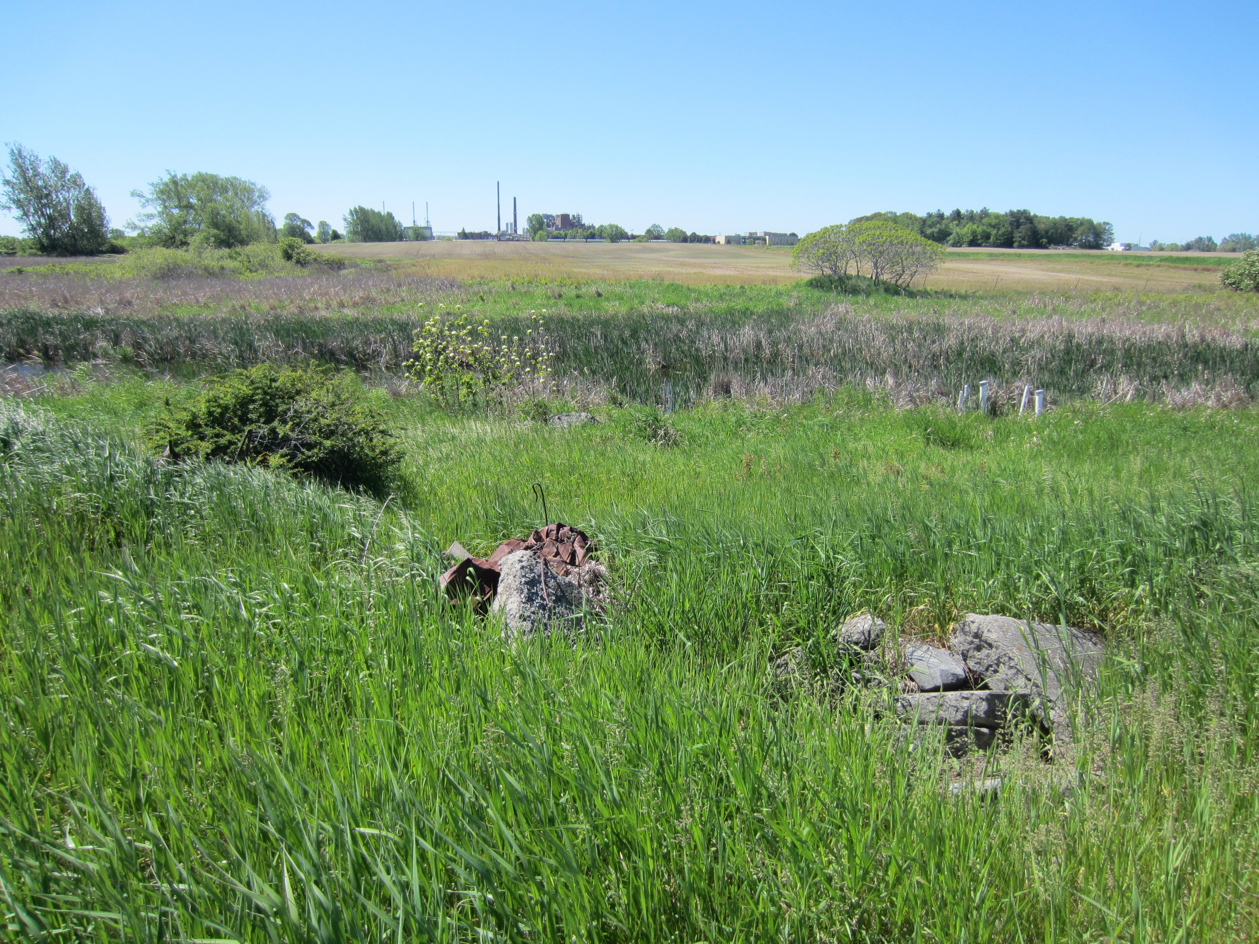 The old wetland site was backfilled with construction waste, beginning in the 1950s. Remnants of the construction backfill were still visible when this picture was taken in 2013.