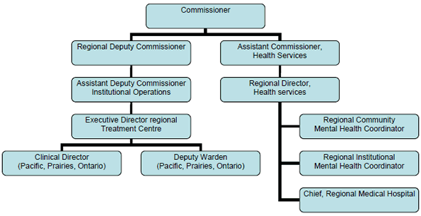 Mental Health Governance Structure. This chart illustrates the reporting structure for the treatment centres.