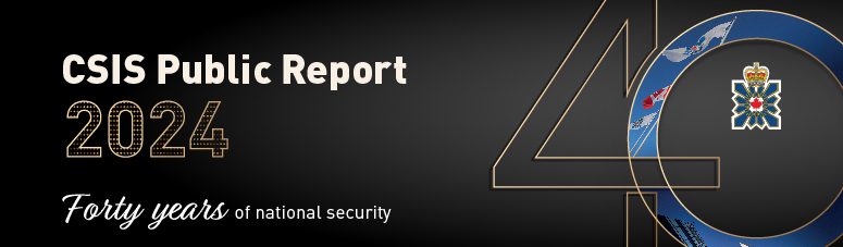 CSIS Public Report 2024