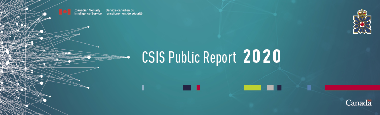 CSIS Public Report 2020